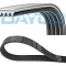 DAYCO 4PK970 Curea transmisie cu caneluri