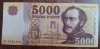 B11 32 - Bancnota foarte veche - Ungaria - 5 000 forint - 2017