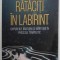 RATACITI IN LABIRINT , CHIPURI ALE BANTUIRII SI MANTUIRII IN PROCESUL TERAPEUTIC de LAVINIA BARLOGEANU , 2023