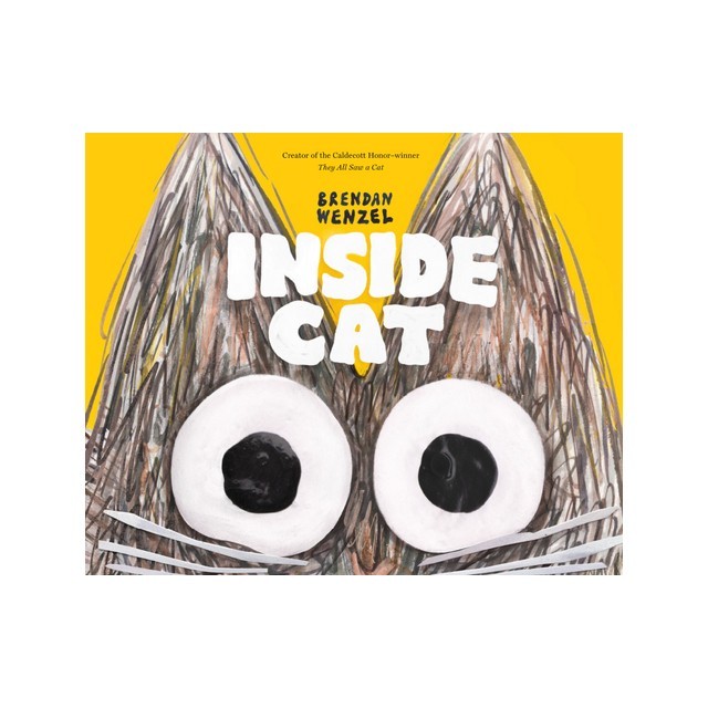 Inside Cat
