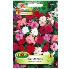 Cauti Impatiens Sporul Casei Dublu Vezi Oferta Pe Okazii Ro