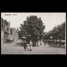 Carte poștală veche Oradea &ndash; Corso &ndash; 1919
