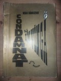 Condamnat sa invinga- Mihai Radulescu