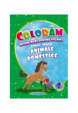 Animale domestice. Desene mari pentru cei mici rom&acirc;nă-engleză - Paperback - Eurobookids