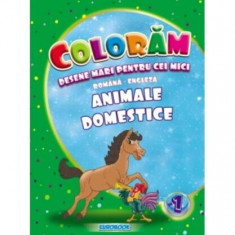 Animale domestice. Desene mari pentru cei mici română-engleză - Paperback - Eurobookids