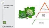 Mostra 1ml - Aroma Uleiuri Esentiale Oriental Amber