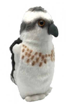 Pasare cu sunet Vultur Pescar - OSPREY foto