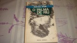 Ionel Pop - O palma de rau - 1978