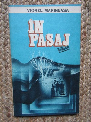 In pasaj - Viorel Marineasa foto