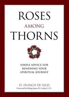 Roses Among Thorns: Simple Advice for Renewing Your Spiritual Journey foto