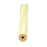 Cumpara ieftin Decorațiuni ifmo unghii - băț, floare, INGINAILS