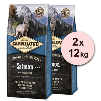 CARNILOVE Salmon Adult 2 x 12 kg foto