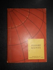 Floare rupta si alte povestiri din literatura ceha (1957)