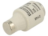 Siguranţă gG 32A 500V Industrială DIII