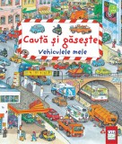 Vehiculele mele. Caută și găsește