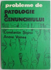 Probleme de patologie a genunchiului ? Constantin Sisiroi foto