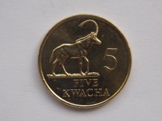 5 KWACHA 1992 ZAMBIA-AUNC foto