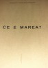 CE E MAREA? COMANDOR CORNELIU BUCHHOLTZER