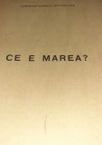 CE E MAREA? COMANDOR CORNELIU BUCHHOLTZER