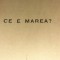 CE E MAREA? COMANDOR CORNELIU BUCHHOLTZER