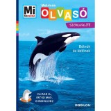 B&aacute;ln&aacute;k &eacute;s delfinek - Matric&aacute;s sz&ouml;vegfejtő - Mi MICSODA OLVAS&Oacute; - Christina Braun