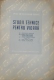 Studii tehnice pentru vioara, Anton Adrian Sarvas