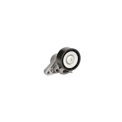 Intinzator curea RENAULT SYMBOL II LU1 2 DAYCO APV2527 foto