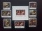 Foto  - 1