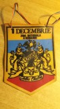 D9 4 - fanion - istorie - Alba Iulia - 1 Decembrie - Ziua nationala
