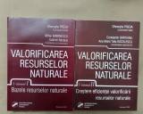 Valorificarea resurselor naturale, vol. I + vol. II - Gheorghe Preda