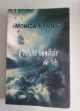 Monica Ramirez - Cealalta jumatate de vis