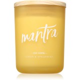 DW Home Zen Mantra lum&acirc;nare parfumată 428 g