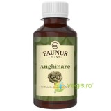 Tinctura Anghinare 200ml