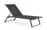 Cumpara ieftin Set 2 sezlonguri gradina gri antracit Taylor 70x182x91.5 cm