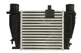 Radiator intercooler RENAULT CLIO III (BR0/1, CR0/1) (2005 - 2014) THERMOTEC DA1008TT
