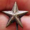 I.108 INSIGNA MILITARA STICKPIN STEA 17mm