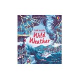 Look Inside Wild Weather