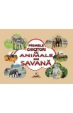 Primele ghicitori cu animale din savana