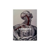 Anatomica: The Exquisite and Unsettling Art of Human Anatomy