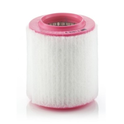 Filtru aer Mann-Filter C16522 foto