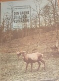 Din fauna si flora Romaniei - Ion Simionescu