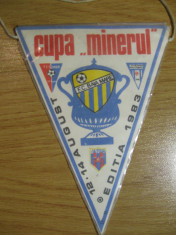 FC Baia Mare, Cupa Minerul 13-14 august 1983 - fanion foto