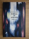 Radu Costinescu - Jurnal de atelier. 1956-2013