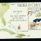 TURKS AND CAICOS 1985 FAUNA PASARI AUDUBON