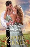 Ducele dorințelor ei - Paperback brosat - Sophie Barnes - Litera