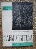 SARMIZEGETUSA DE ACAD. C. DAICOVICIU , H. DAICOVICIU