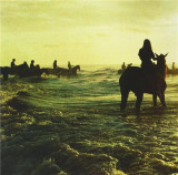 Holy Fire - Vinyl | Foals, Warner Music
