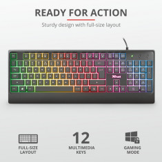 Tastatura Ziva Gaming Rainbow LED Keyboard foto