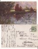 Ilustrata animale - rate salbatice, Circulata, Printata