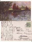 Ilustrata animale - rate salbatice